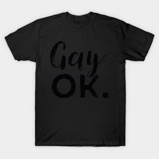 Gay OK T-Shirt